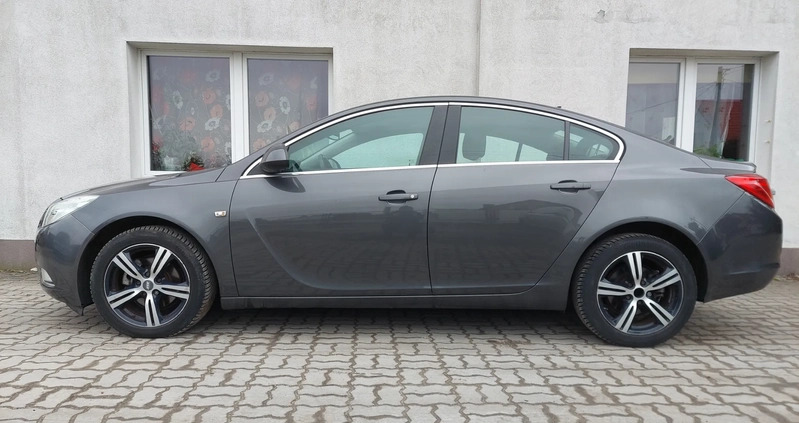 Opel Insignia cena 24900 przebieg: 157000, rok produkcji 2010 z Tuchola małe 301